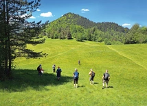 Na polanie  pod Klasztorną Górą  (Pieniny Słowackie). 