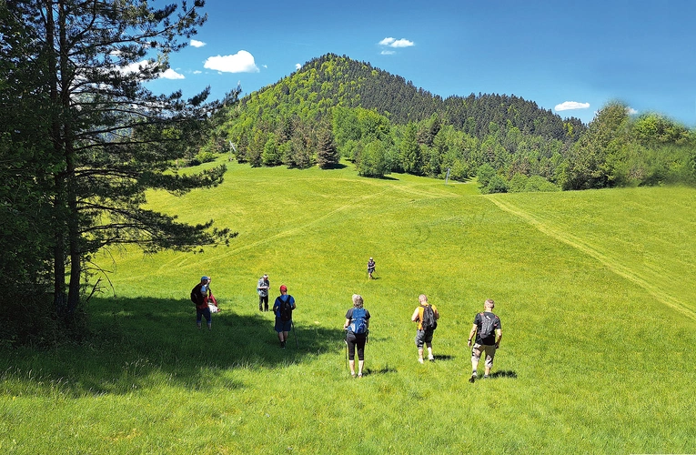 Na polanie  pod Klasztorną Górą  (Pieniny Słowackie). 