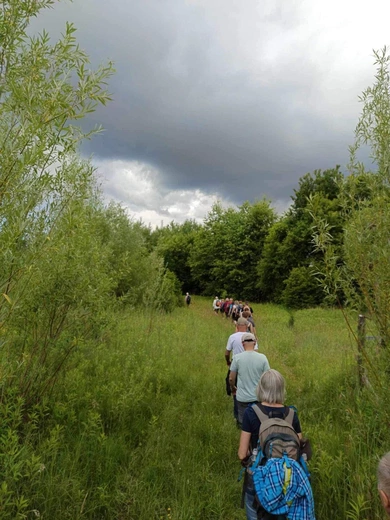 Tarnowskie Camino. Z trasy