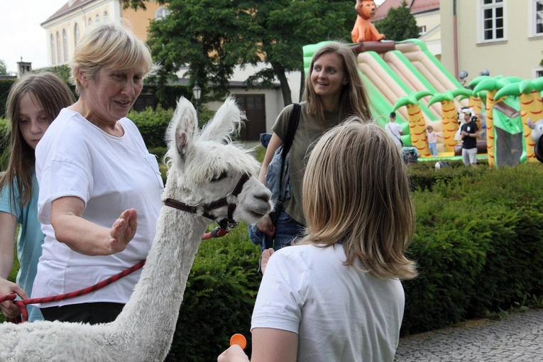 Festyn św. Filipa Smaldone we Wrocławiu 2024