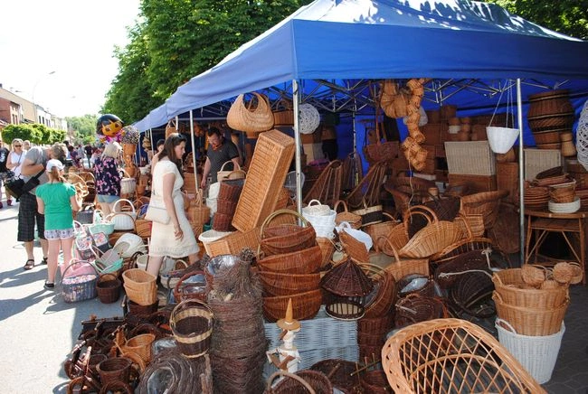 Rudnik nad Sanem. Wiklina 2024