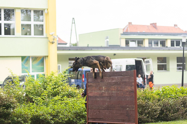 XX Diecezjalny Dzień Osób z Niepełnosprawnością