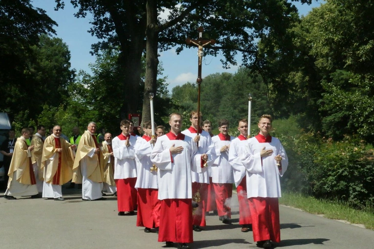 Pielgrzymka LSO do Wąwolnicy