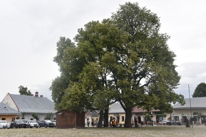 Stary Sącz - sanktuarium św. Kingi