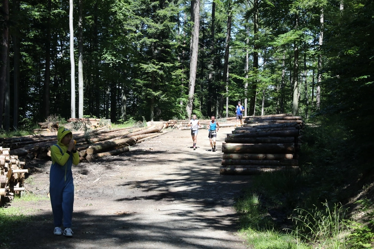 Bieg Frassatiego 2024