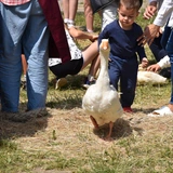 Zagroda Powroty na Rodzinnym Pikniku Misyjnym
