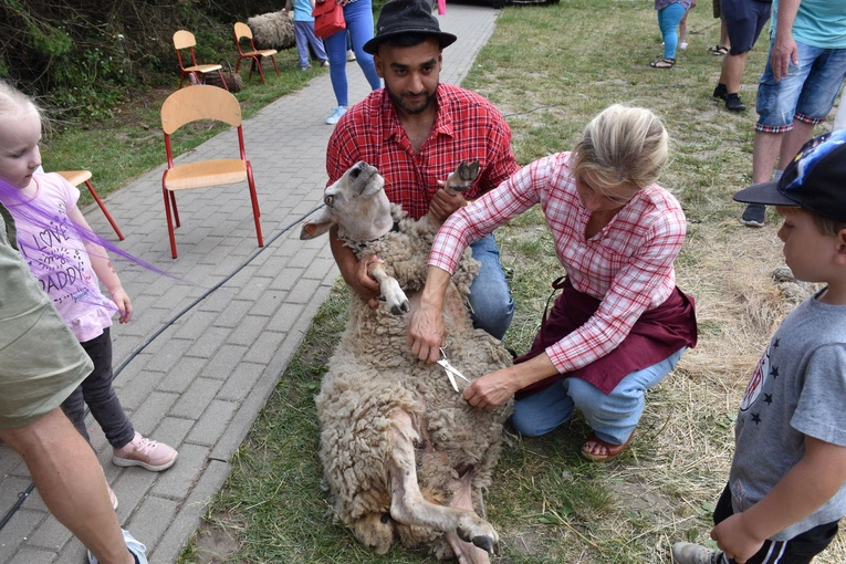 Zagroda Powroty na Rodzinnym Pikniku Misyjnym