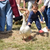 Zagroda Powroty na Rodzinnym Pikniku Misyjnym