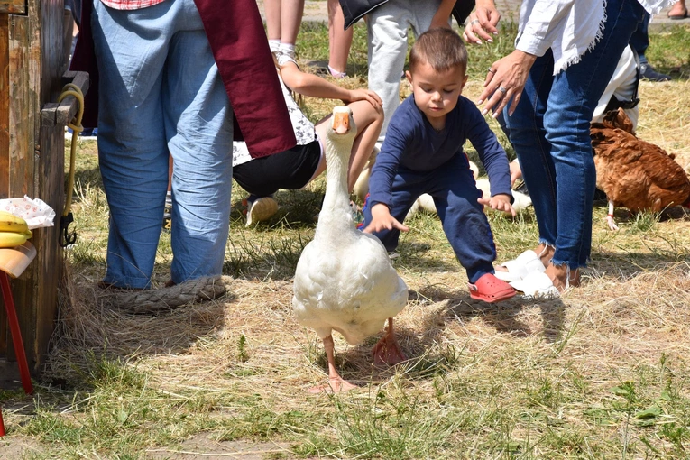 Zagroda Powroty na Rodzinnym Pikniku Misyjnym