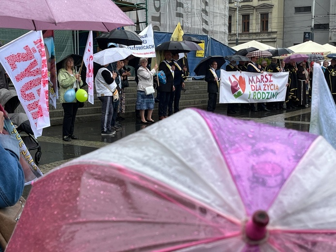 Katowice. "Marsz dla życia, rodziny, ojczyzny"