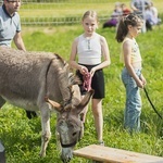 Pielgrzymka ze Świdnicy do Śmiałowic