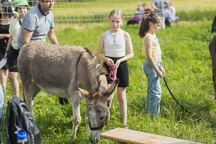 Pielgrzymka ze Świdnicy do Śmiałowic