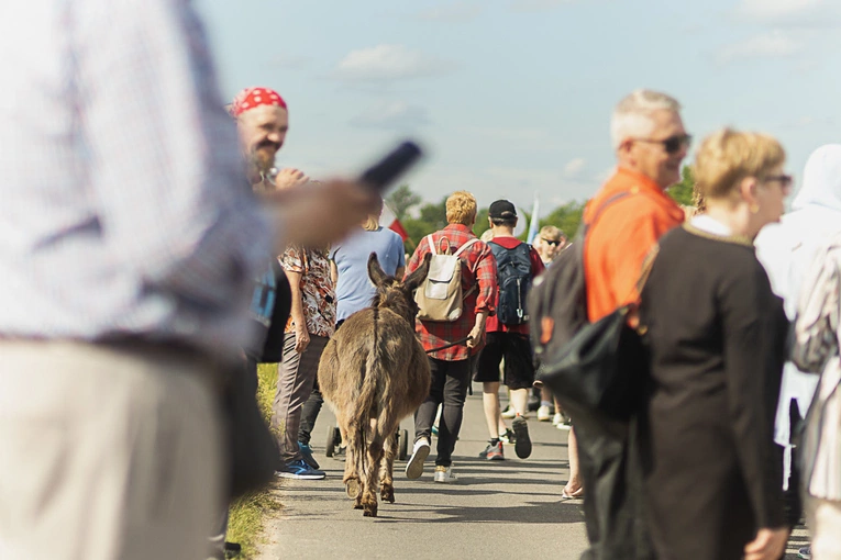 Pielgrzymka ze Świdnicy do Śmiałowic