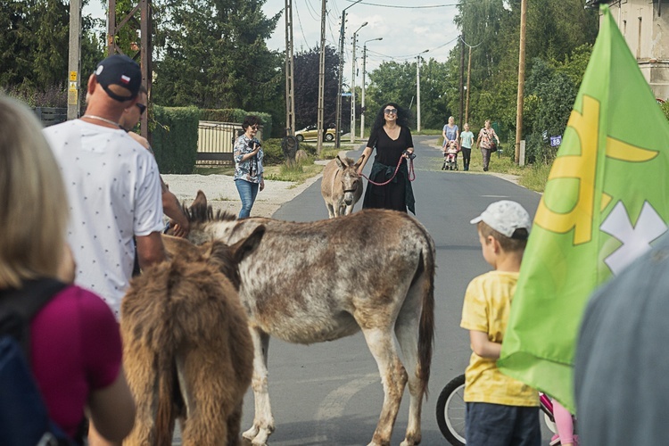 Pielgrzymka ze Świdnicy do Śmiałowic