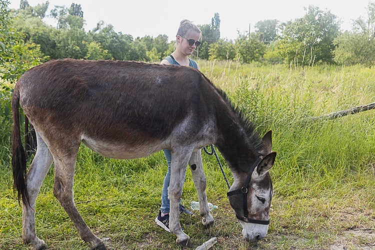 Pielgrzymka ze Świdnicy do Śmiałowic