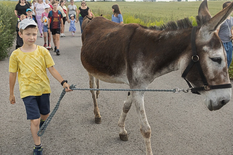 Szlakiem Pani w słońcu