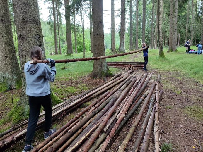 Pionierka pod Olszyną
