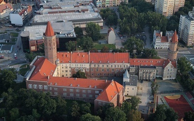 Zarapował o Henryku II Pobożnym