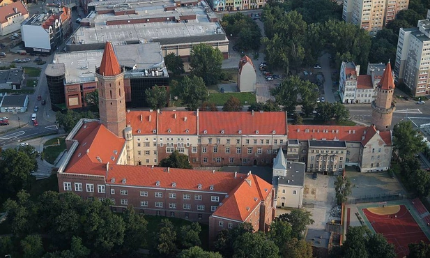 Zarapował o Henryku II Pobożnym