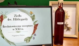 Bylica, ale nie piołun! To ta od św. Hildegardy