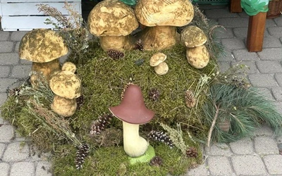 Stalowa Wola. Pierogi z rzemiosłem