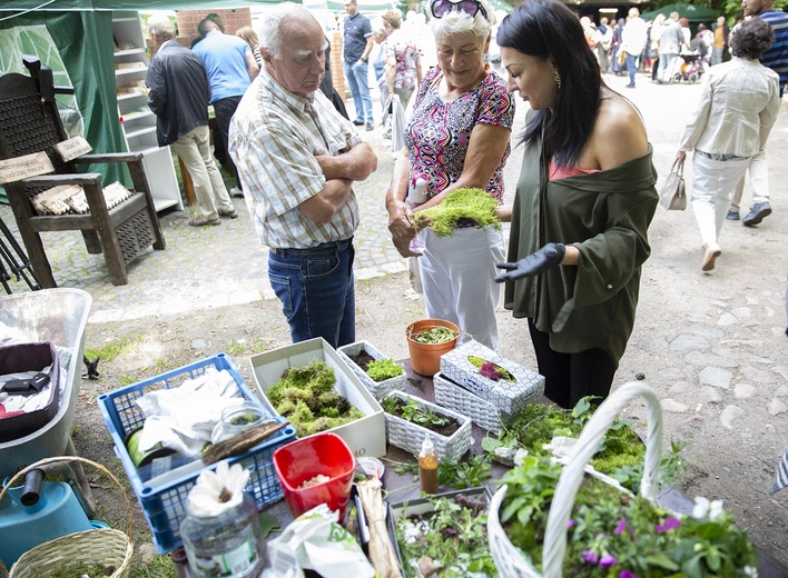 Dzień Kultury dla Góry