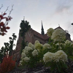 Musica Basilica - koncert w Grybowie