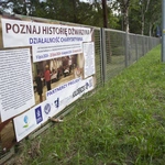 Projekt Historia Dźwirzyna
