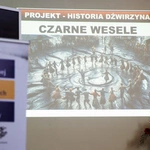 Projekt Historia Dźwirzyna