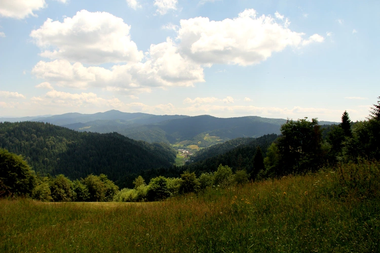 Gorc i Gorce