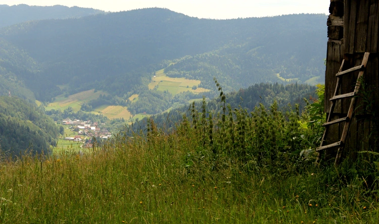 Gorc i Gorce