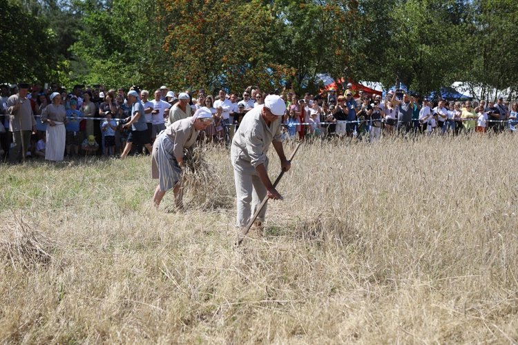 Łowickie Żniwa 2024