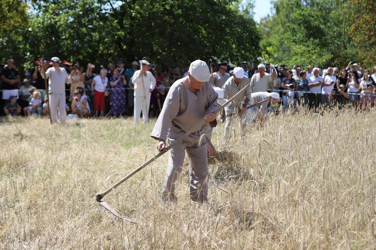 Łowickie Żniwa 2024