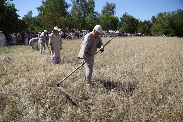 Łowickie Żniwa 2024