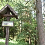 Wieża na Skiełku