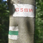 Wieża na Skiełku