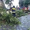 W parafii w Głuchowie strażacy usunęli powalone drzewo. Świątynia nie ucierpiała podczas nawałnicy.