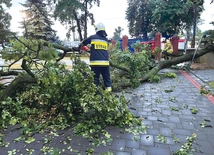 W parafii w Głuchowie strażacy usunęli powalone drzewo. Świątynia nie ucierpiała podczas nawałnicy.