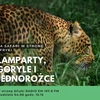 Lamparty, goryle, jednorożce, czyli safari w stronę Afryki