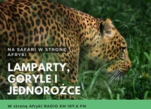 Lamparty, goryle, jednorożce, czyli safari w stronę Afryki