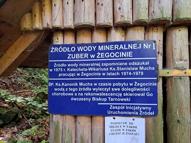 Kamionna. Góra, wieża, rezerwat i wieś