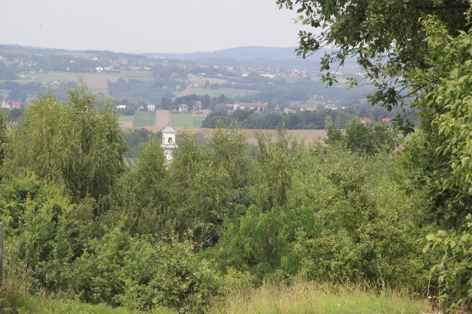 Kamionna. Góra, wieża, rezerwat i wieś