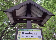 Kamionna. Góra, wieża, rezerwat i wieś