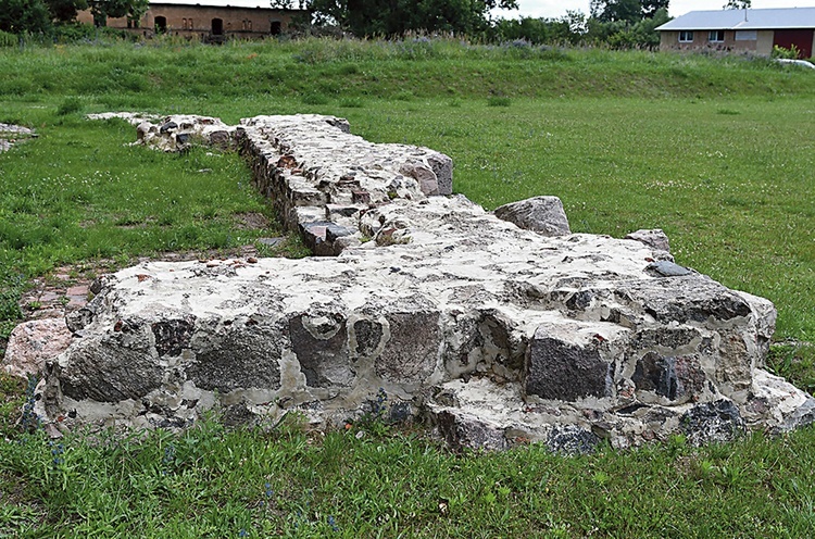 Relikty kamiennych ścian i murów fundamentowych przy ścianie południowej.