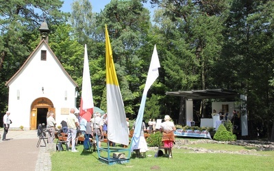 Pielgrzymka Trzeźwości - Msza św.