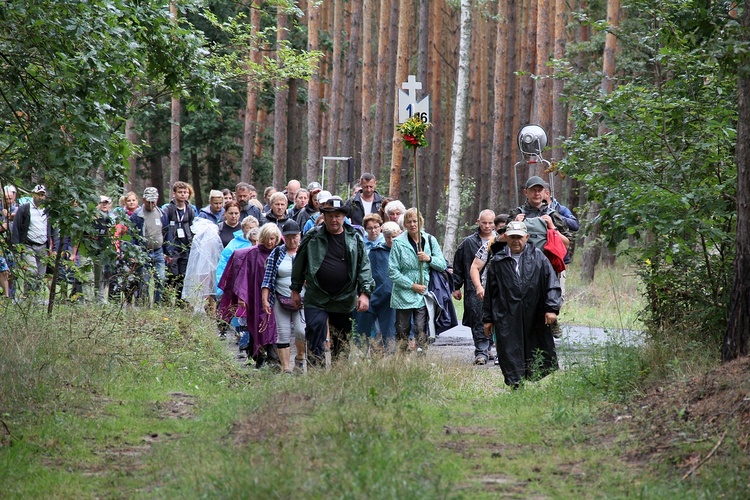 PPW 2024. Oleśnica-Namysłów (cz. 1)