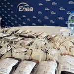 23. edycja programu "Energię mamy we krwi"