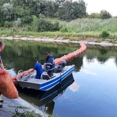 Śląskie. Prawie 10 ton śniętych ryb w jeziorze Dzierżno Duże