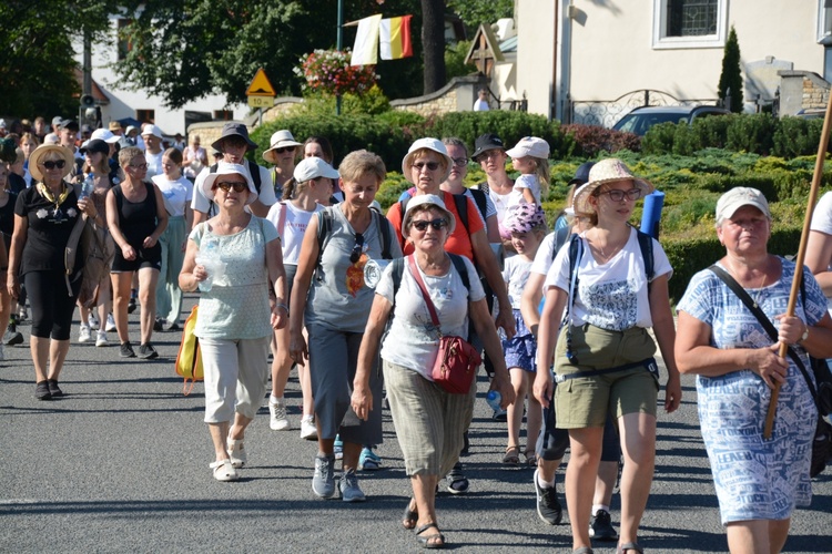 Strumień opolski w Kamieniu Śląskim