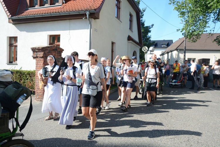 Strumień opolski w Kamieniu Śląskim